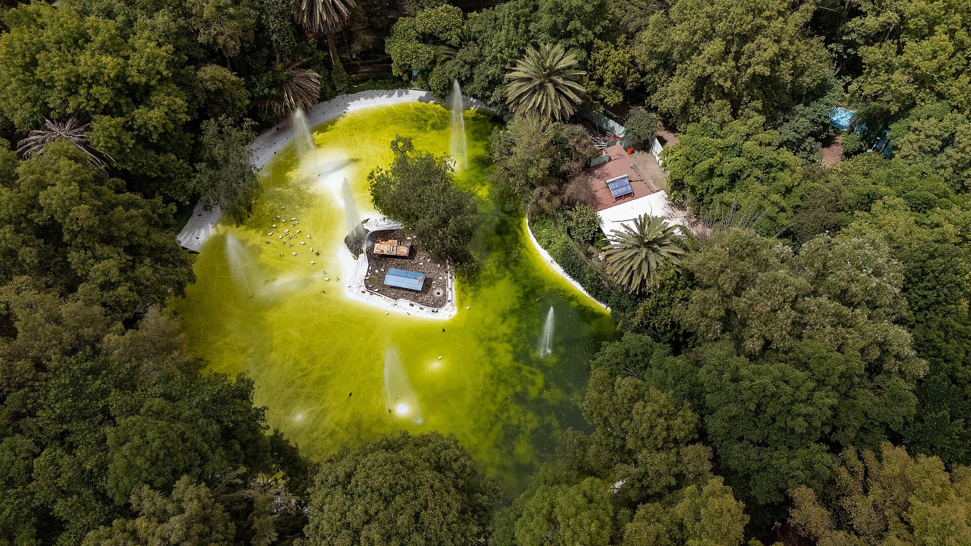 Parque México in the Condesa neighbourhood