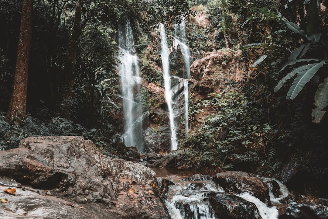 A jungle waterfall in the hills north of Chiang Mai