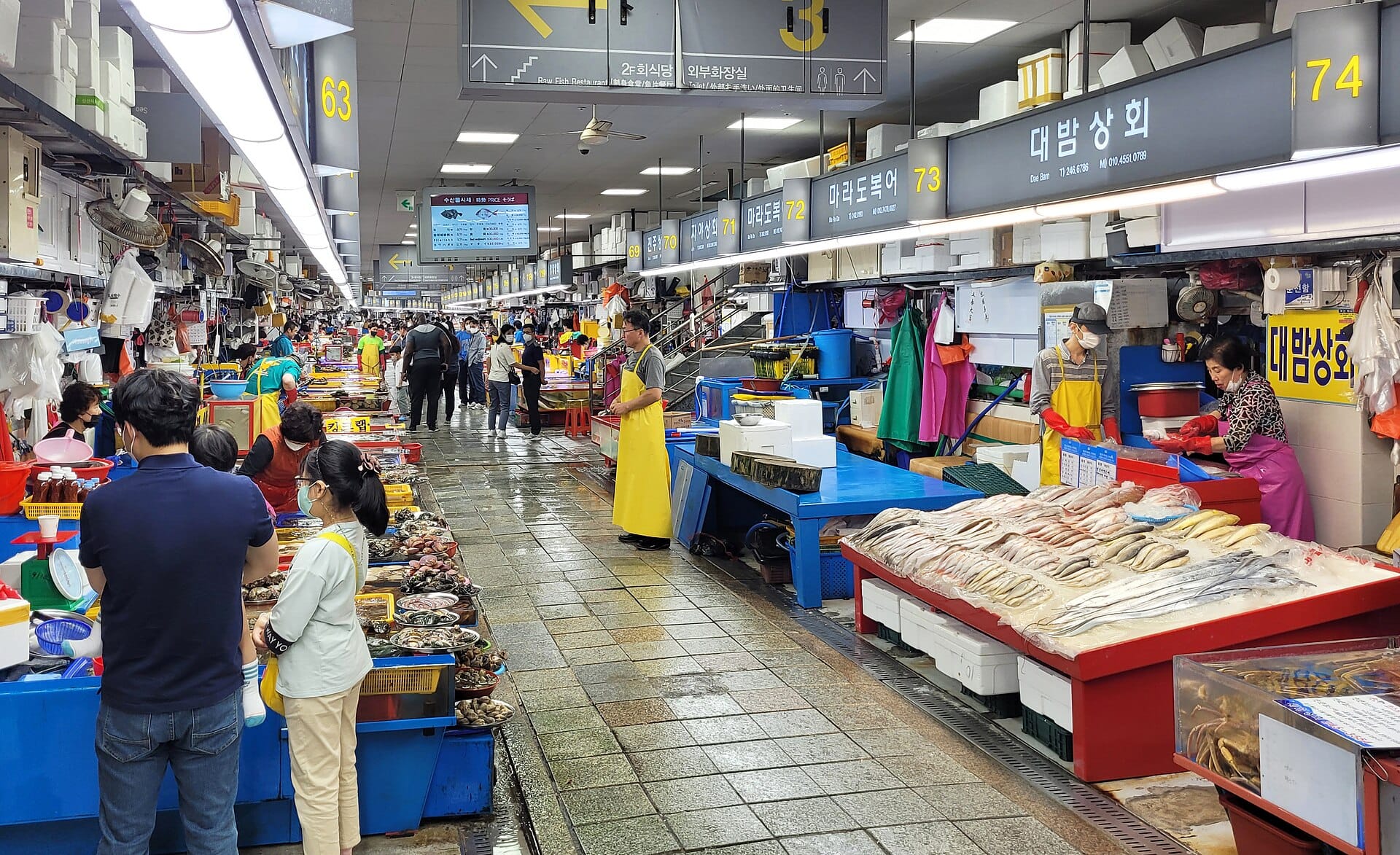 Jagalchi seafood market, Busan