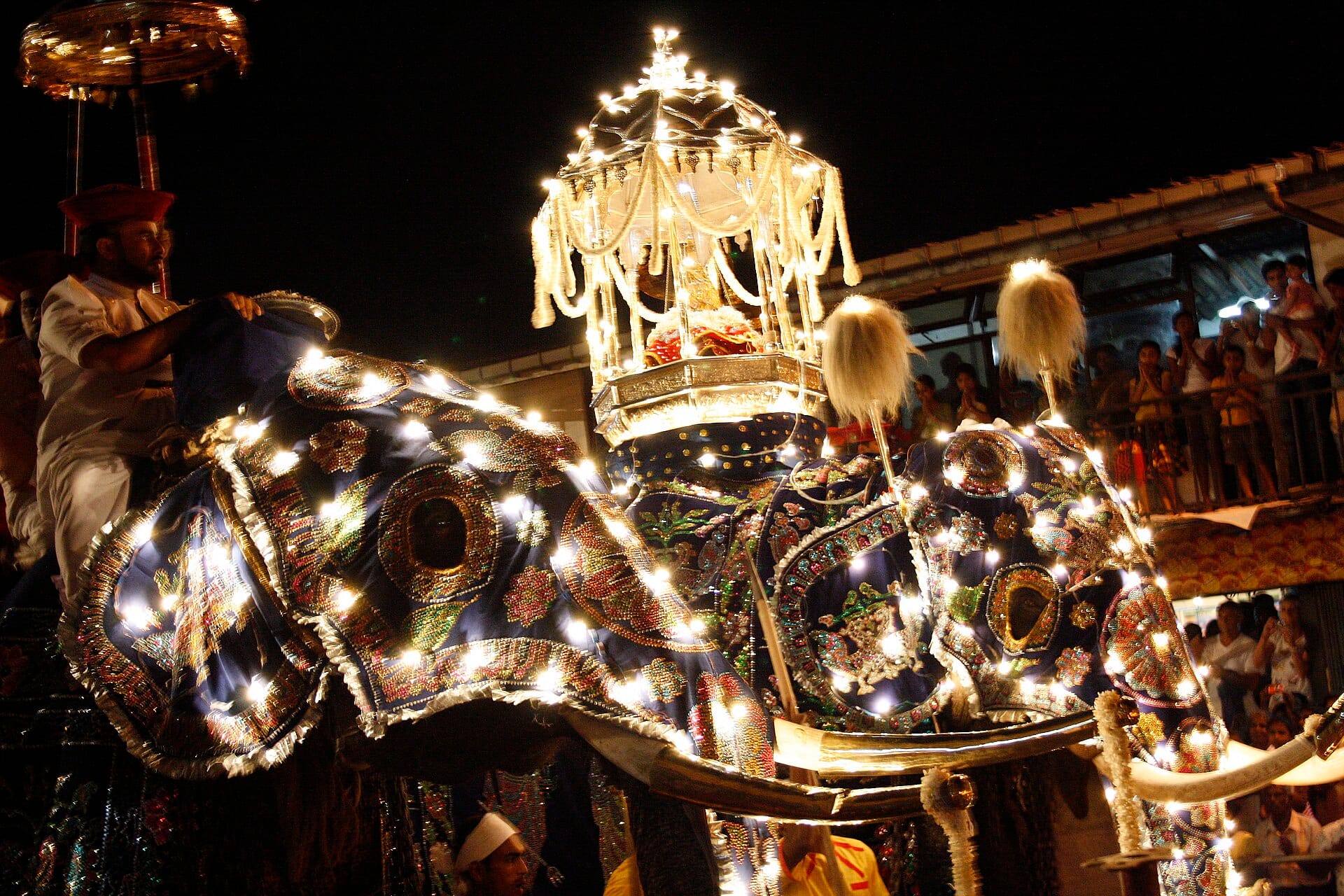 Decorated elephants in the Kandy Esala Perahera procession