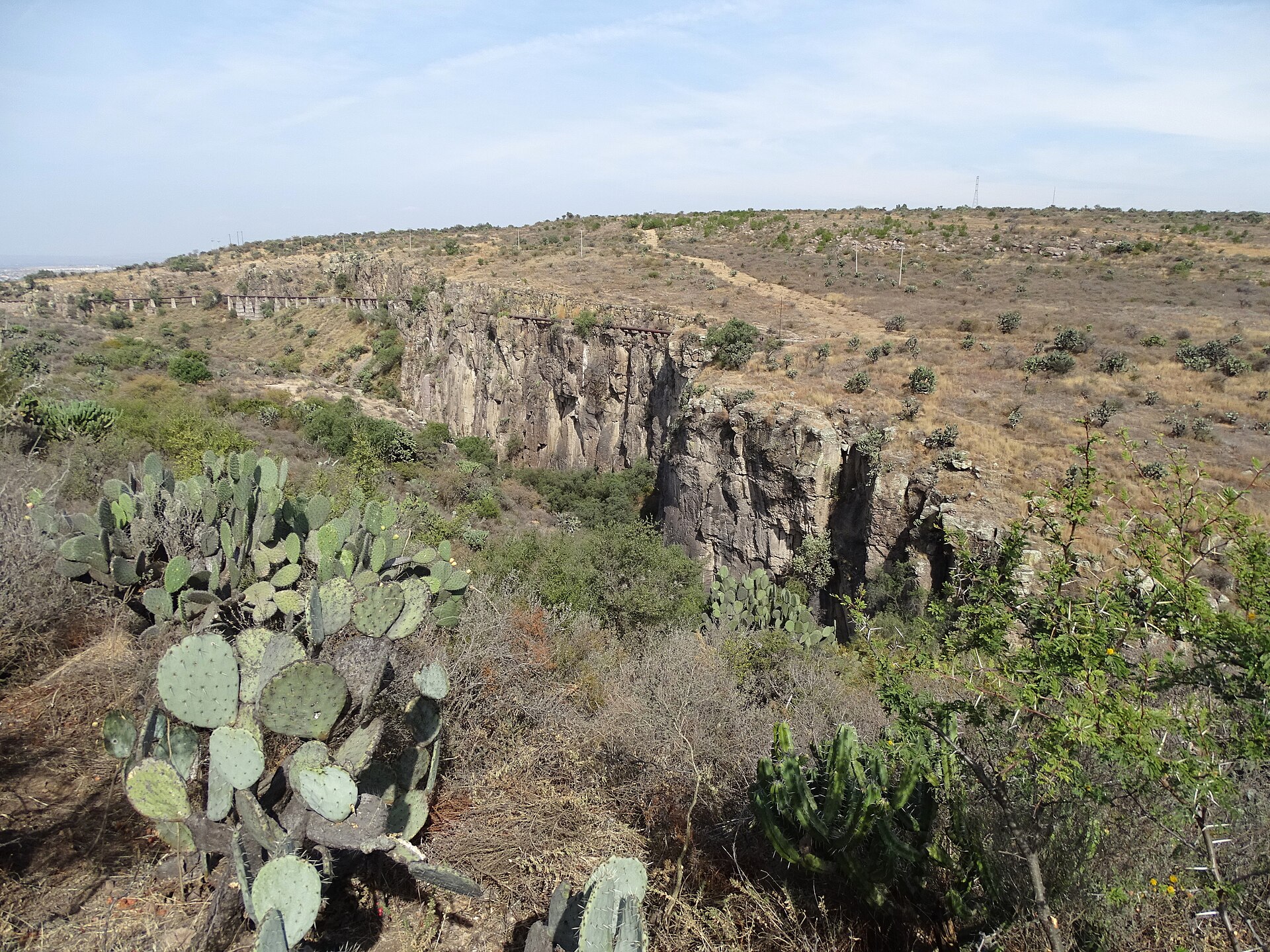 Canyon and prickly-pear cacti at El Charco del Ingenio nature reserve above San Miguel de Allende