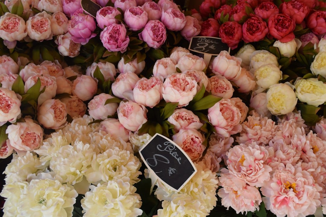 Flower stalls at the Cours Saleya market in Nice