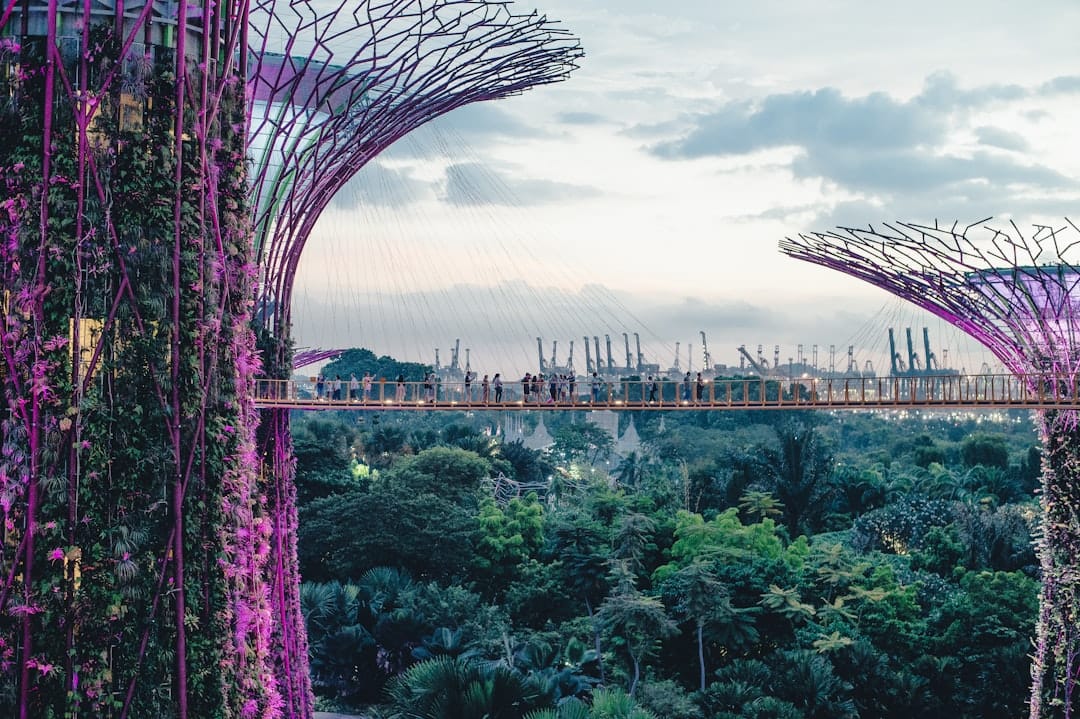 The Supertree Grove at Gardens by the Bay, Singapore