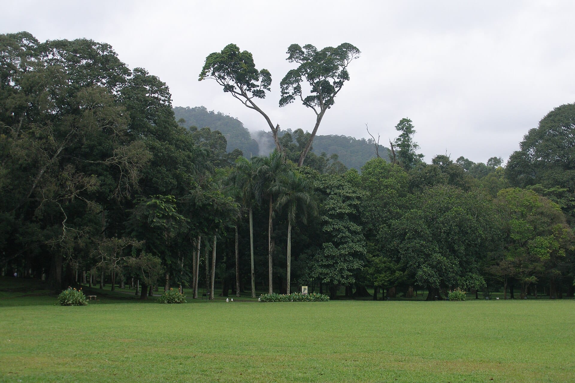 Landscaped grounds at the Royal Botanical Gardens, Peradeniya