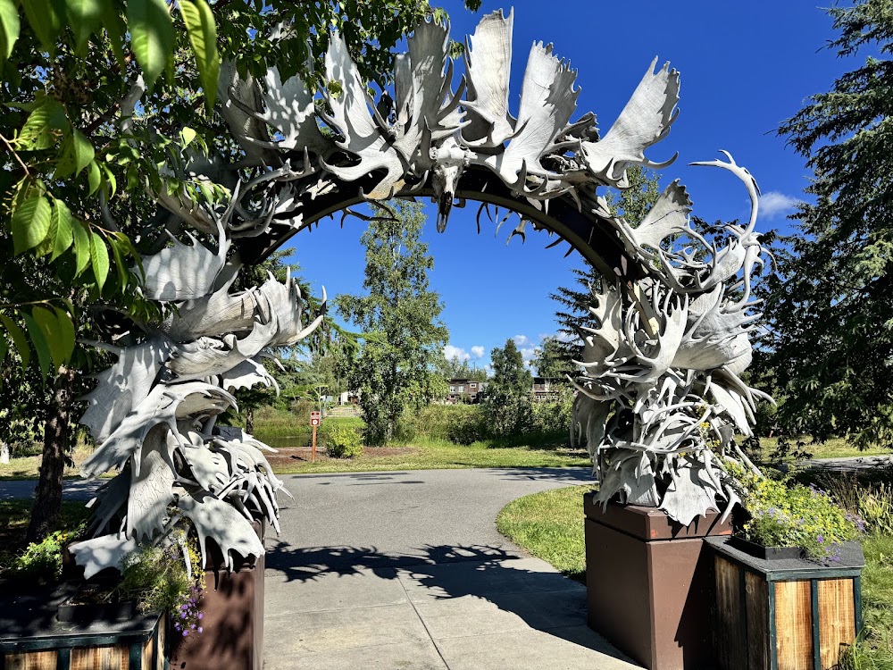 Antler Arch