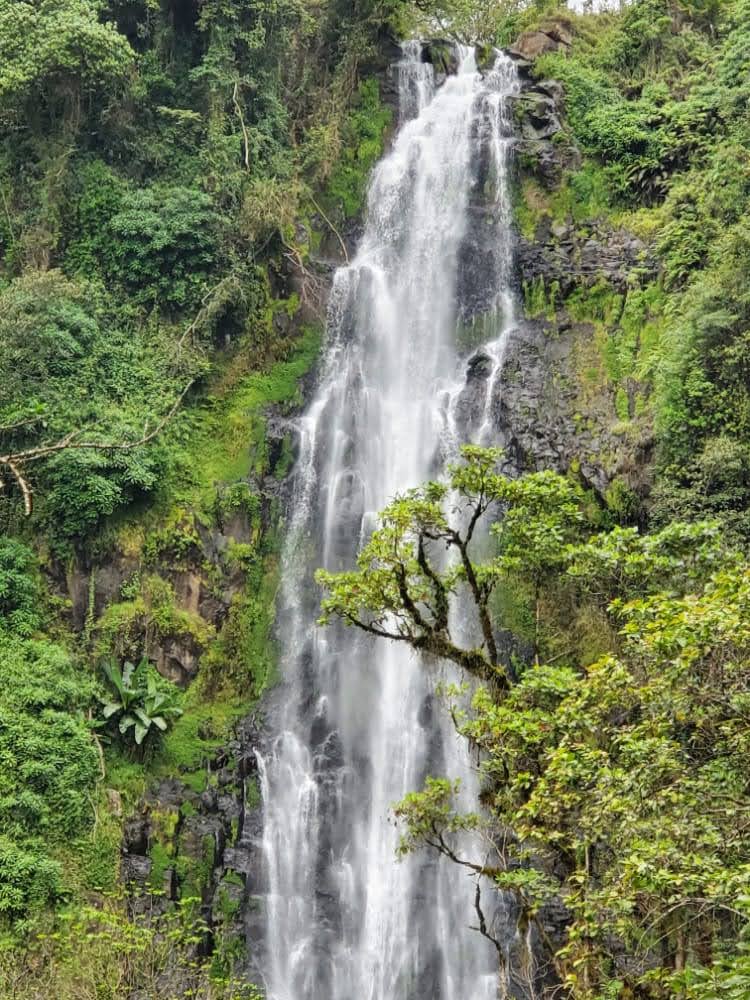 Materuni waterfalls coffee tour and lunch