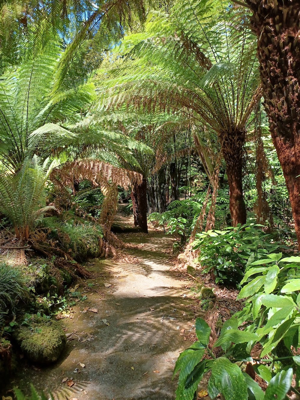 Pena Park