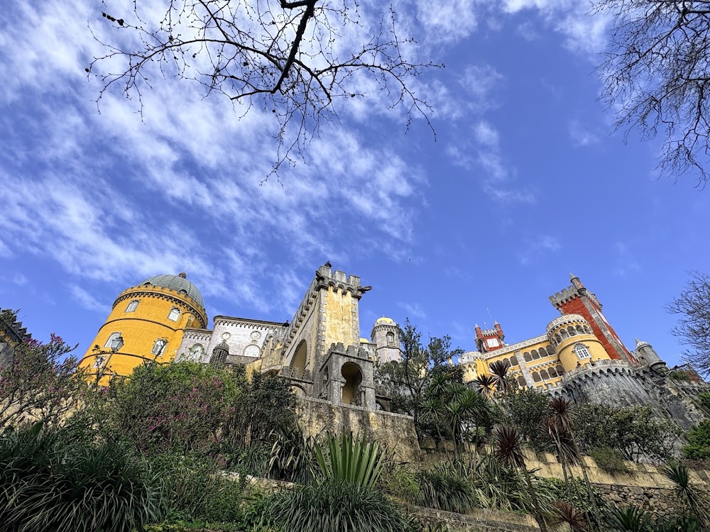 Pena Park photo 3