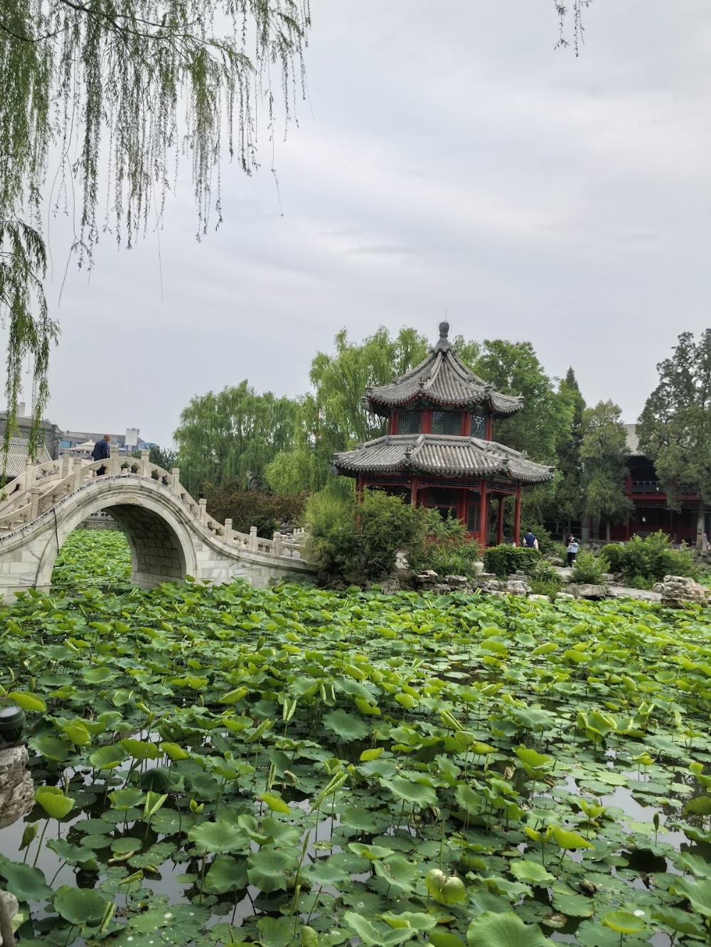 Baoding Ancient Lotus Pond