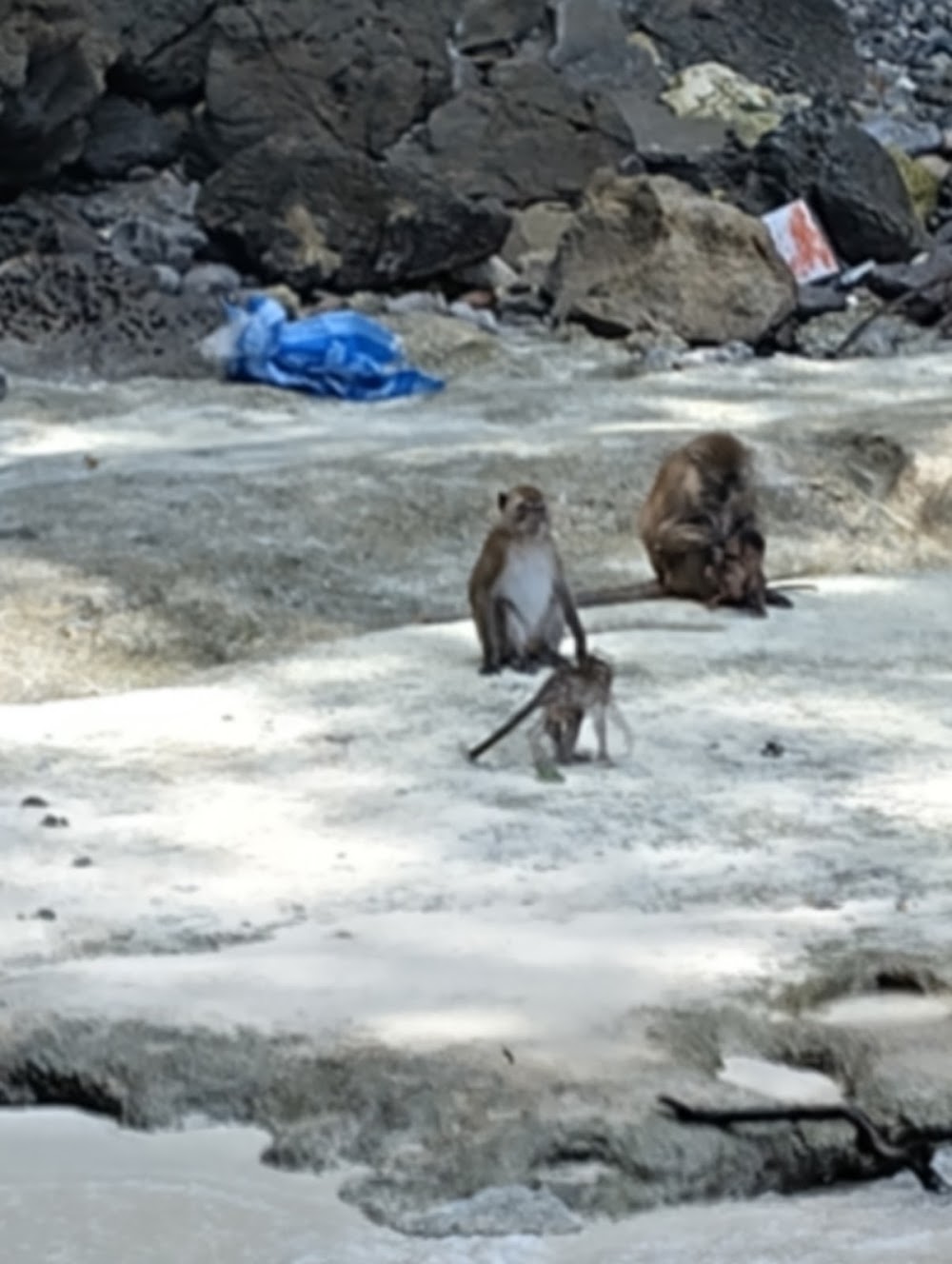 Ao Ling (Monkey Bay) photo 3