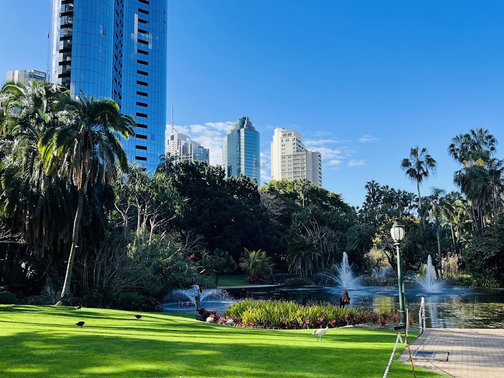 Brisbane Botanic Gardens