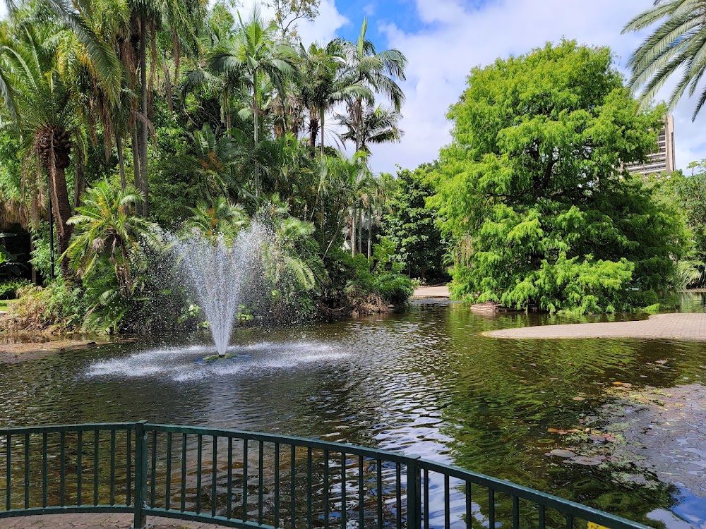 Brisbane Botanic Gardens photo 2