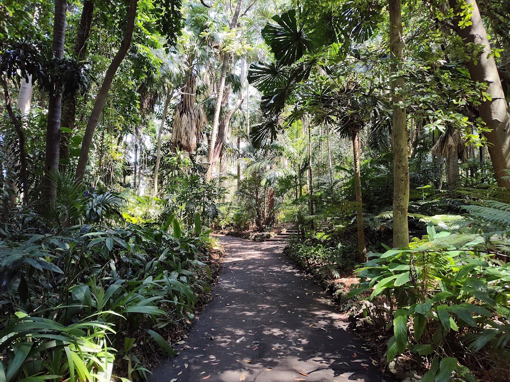 Brisbane Botanic Gardens photo 3