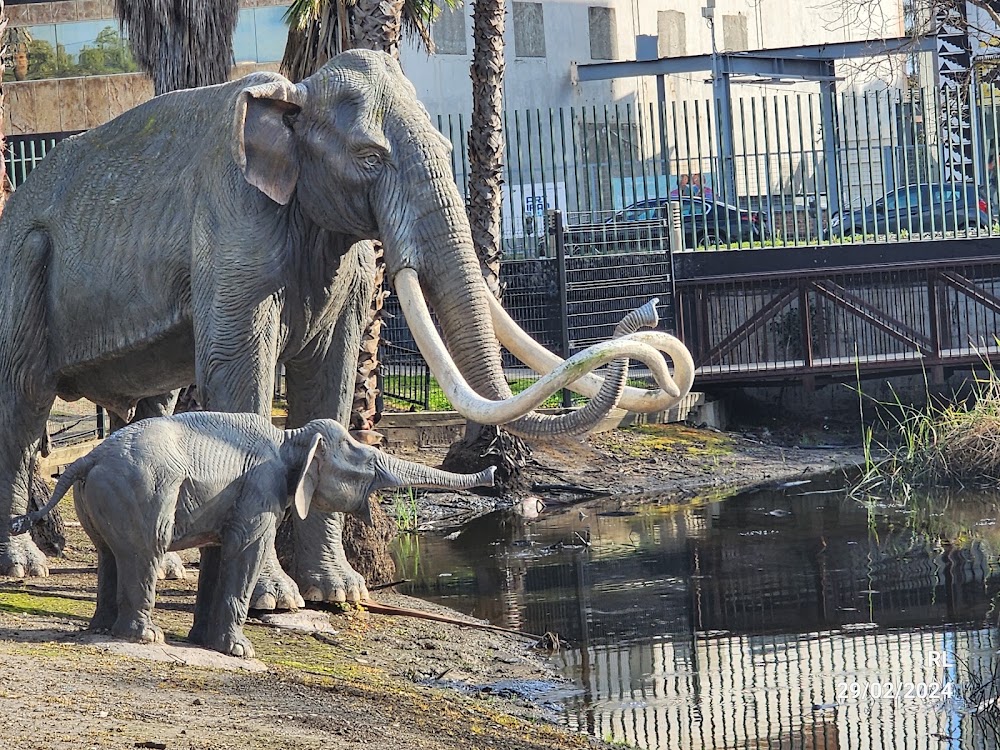 La Brea Tar Pits