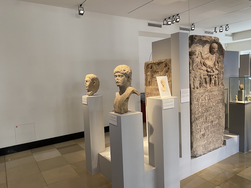 Roman-Germanic Museum photo 3
