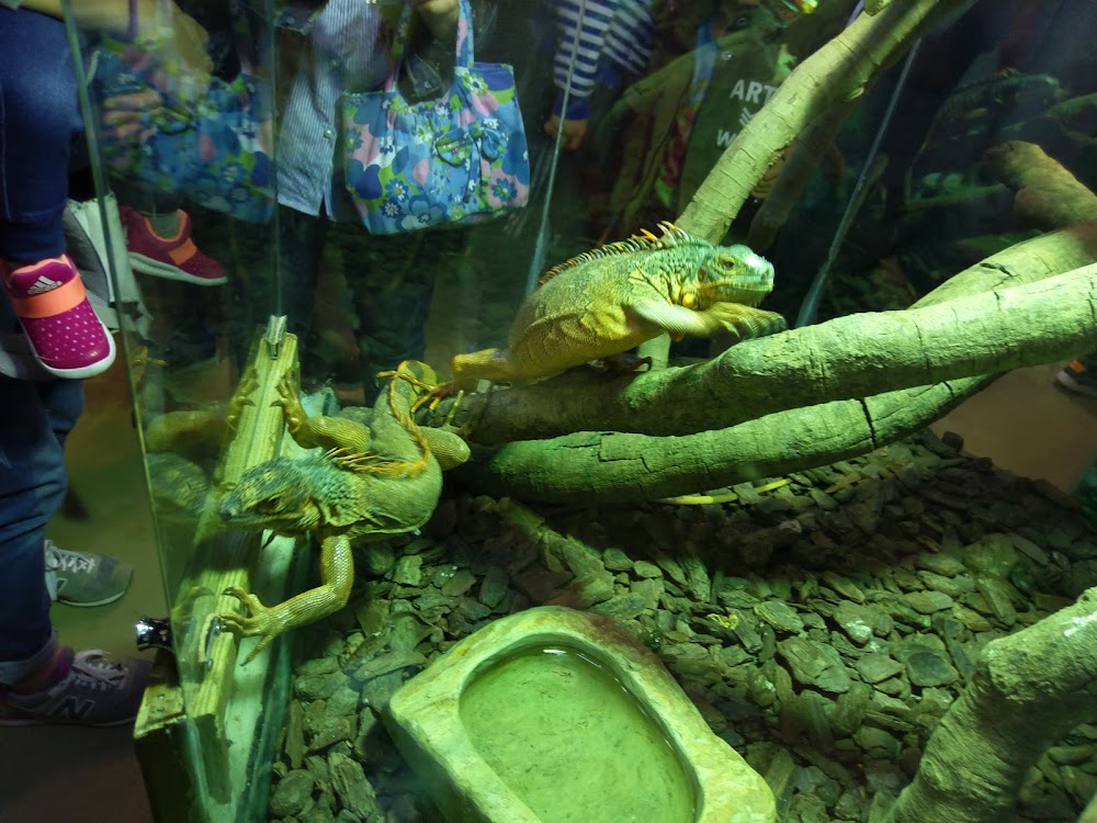 Guangzhou Crocodile Park photo 2