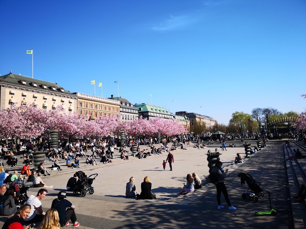 Kungsträdgården Park photo 2