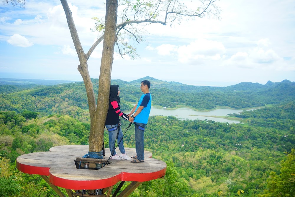 Kalibiru National Park photo 2