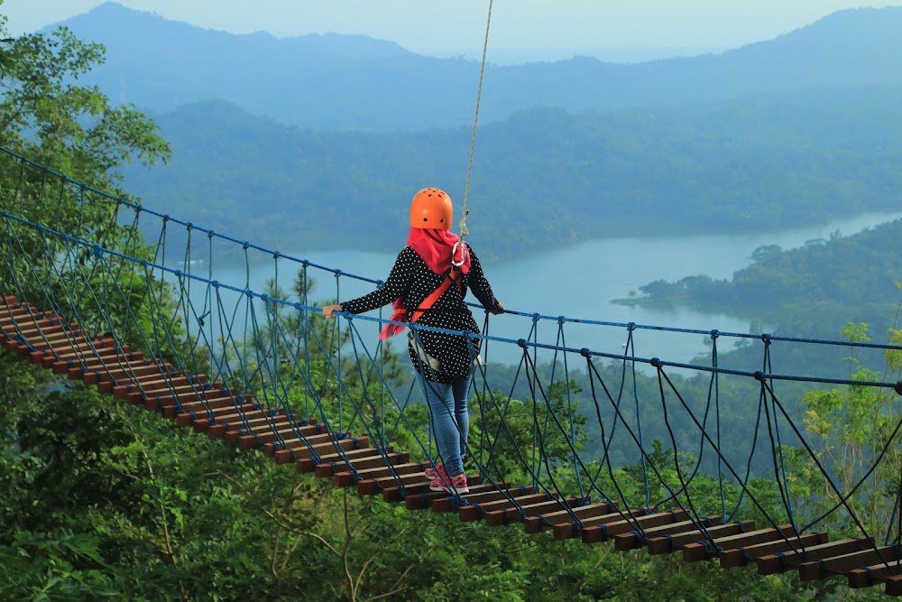 Kalibiru National Park photo 3