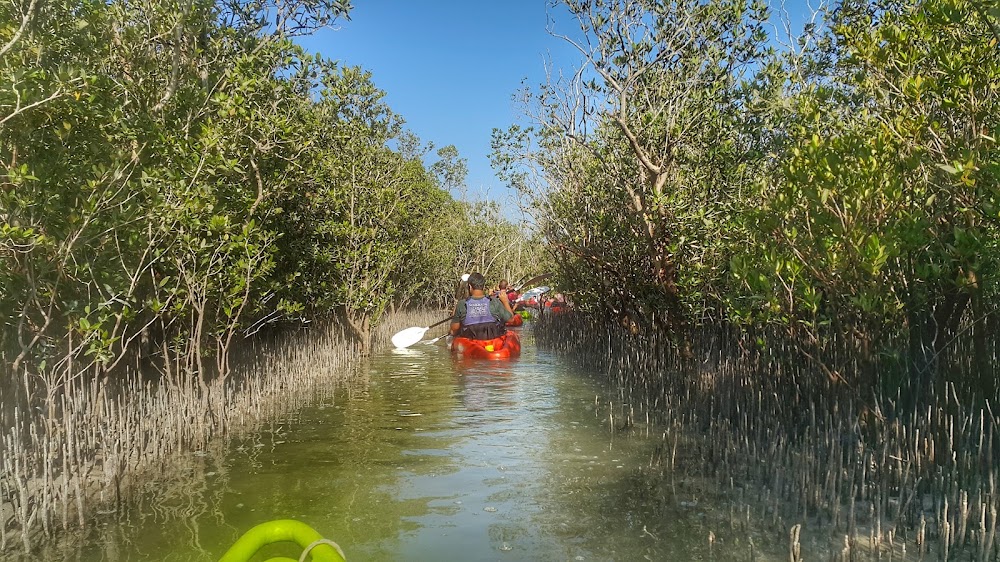 Mangrove National Park photo 3
