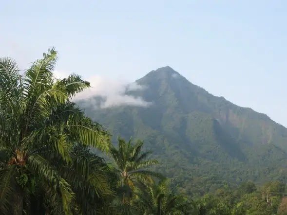 Mount Cameroon