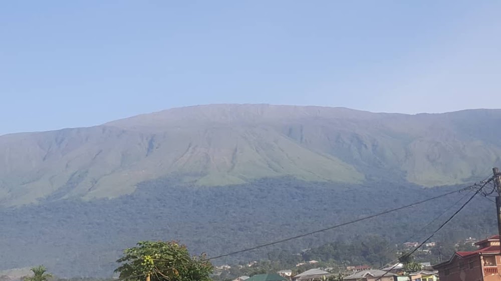 Mount Cameroon photo 2