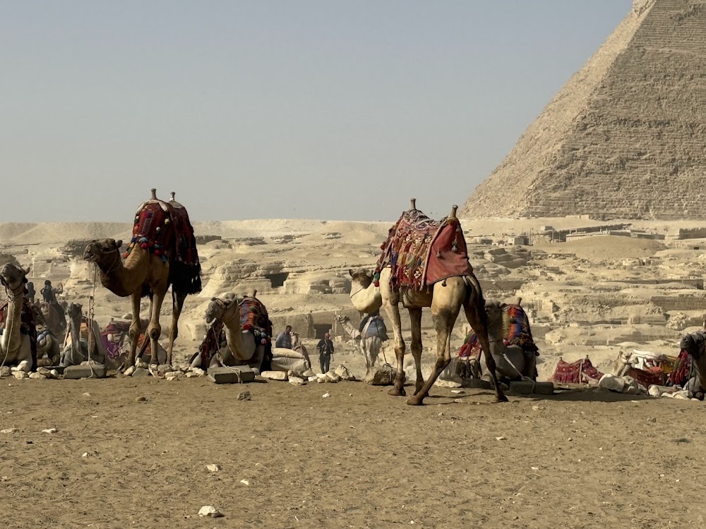 Sound and Light Show at the Pyramids photo 2