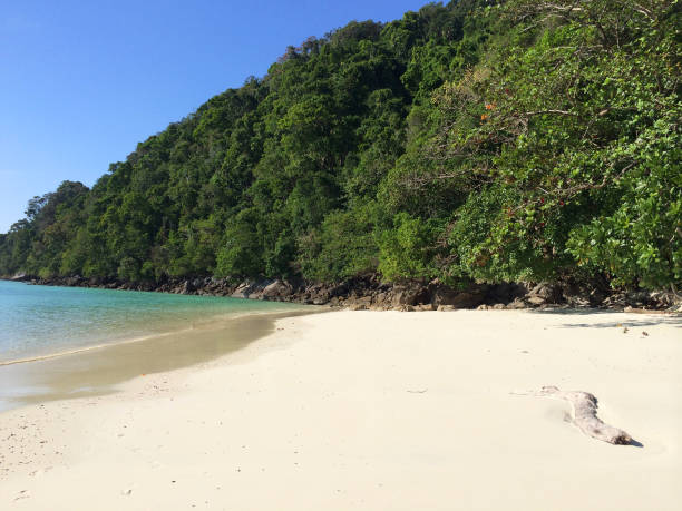 Coconut Palace photo 2