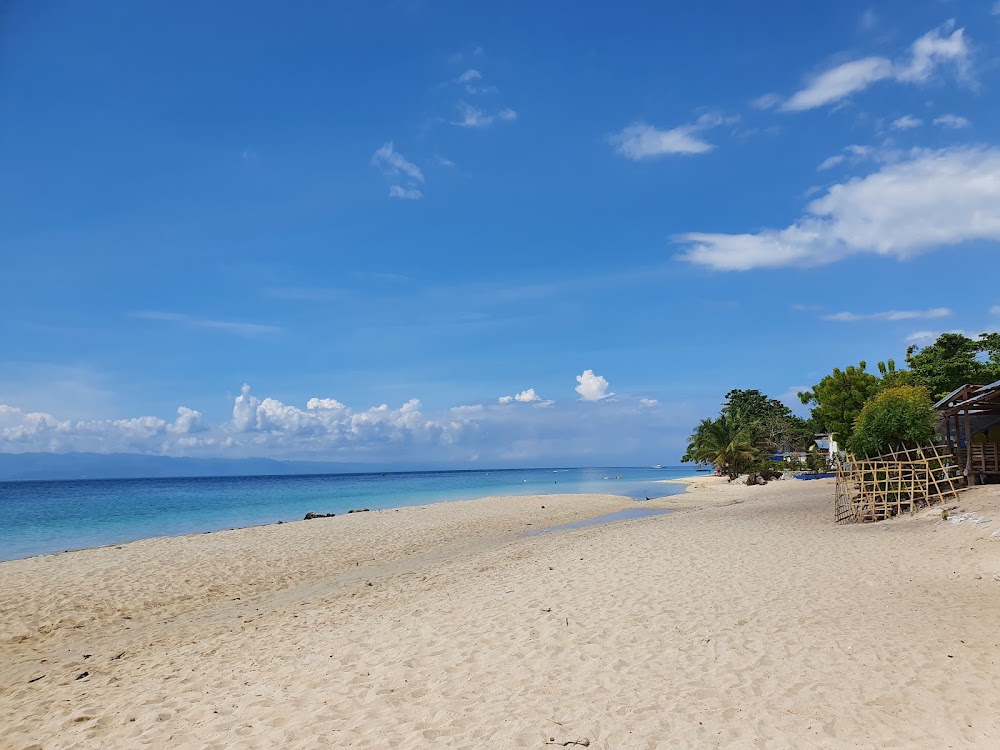 Moalboal White Beach photo 2