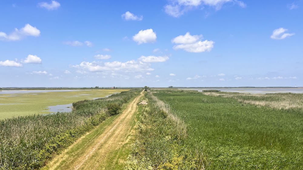 Hortobagy National Park (near Debrecen) photo 3