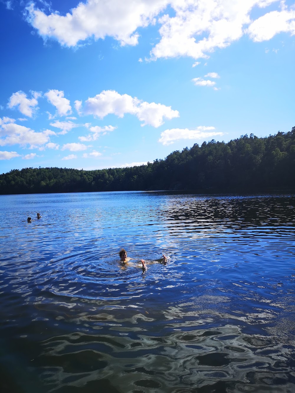 Delsjön Nature Reserve photo 3