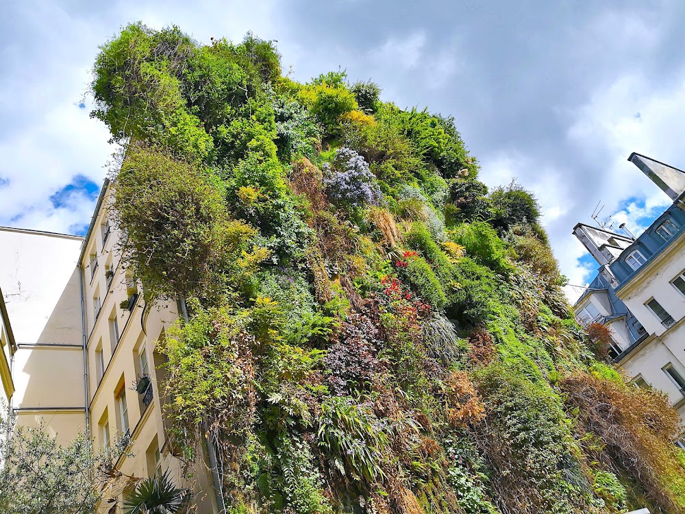 L'Oasis d'Aboukir photo 2