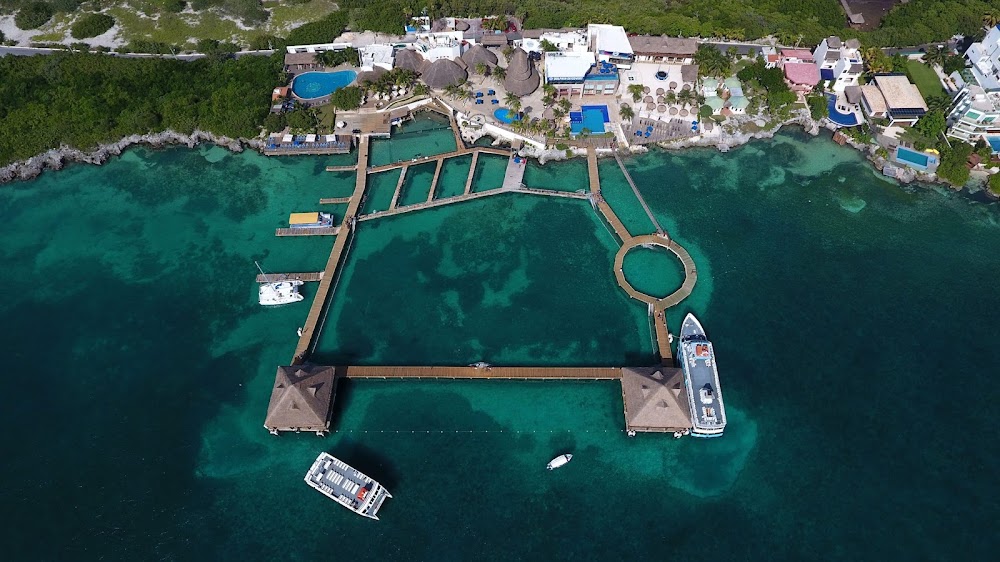 Dolphin Discovery