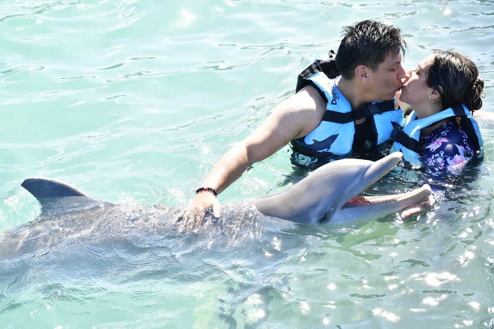 Dolphin Discovery photo 2