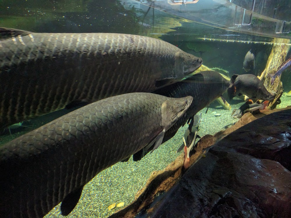 SEALIFE Busan Aquarium photo 3