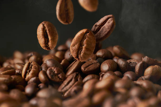 Coffee Plantations photo 2
