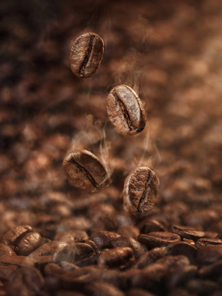 Coffee Plantations photo 3