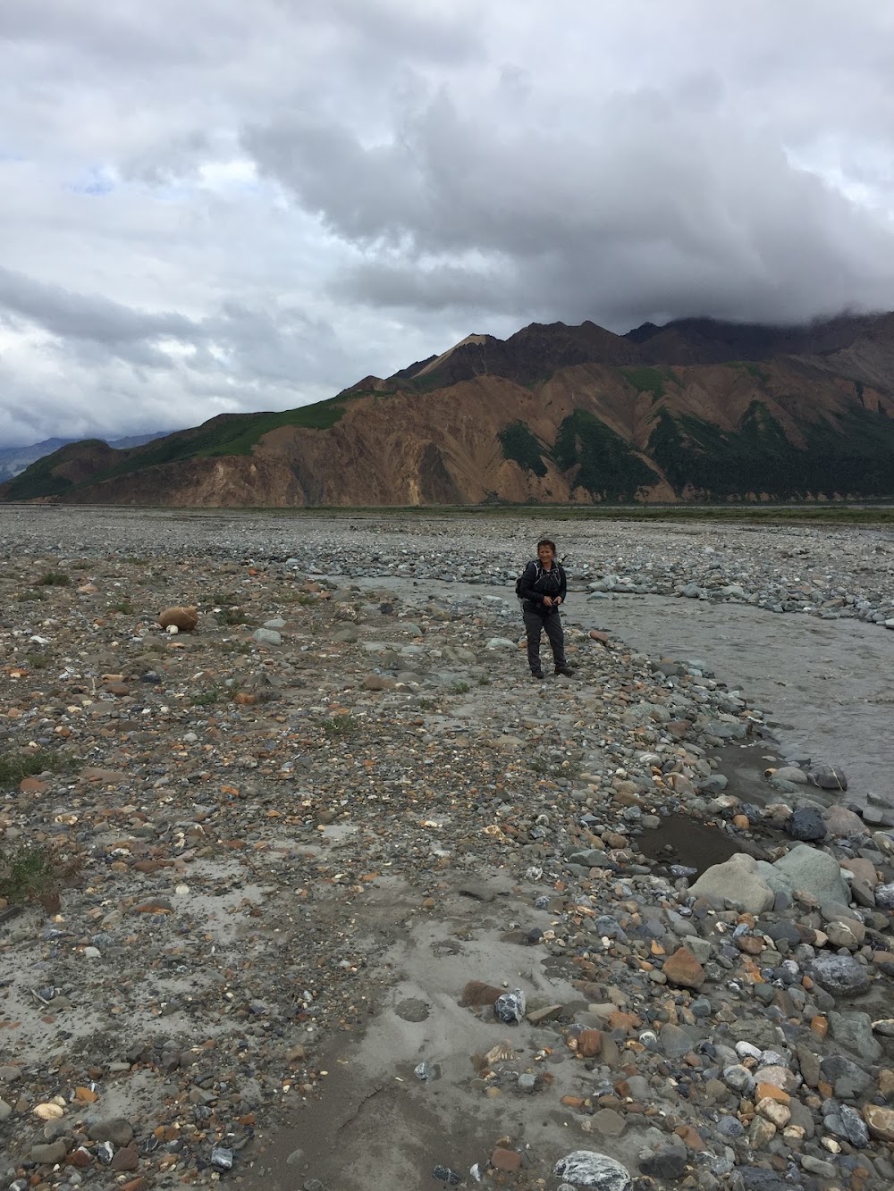 Toklat River Rest Area