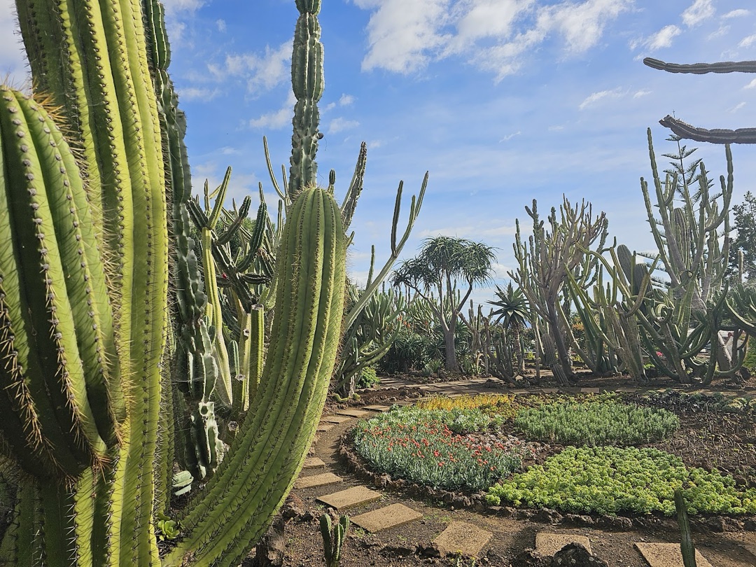 Madeira Botanical Garden photo 3