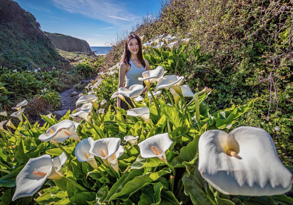 Calla Lily Valley