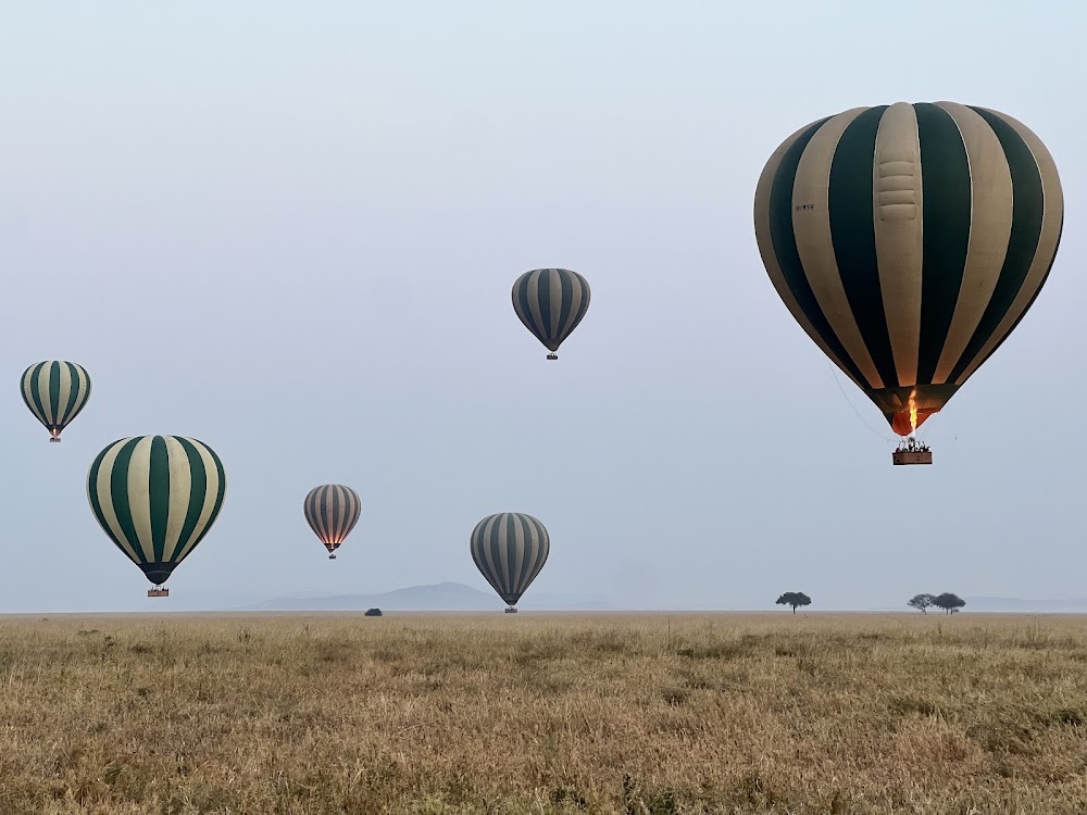 Balloon Safaris photo 2