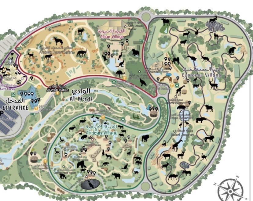 Dubai Safari Park photo 2