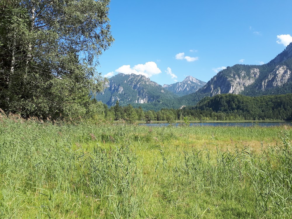 Schwansee Lake photo 3