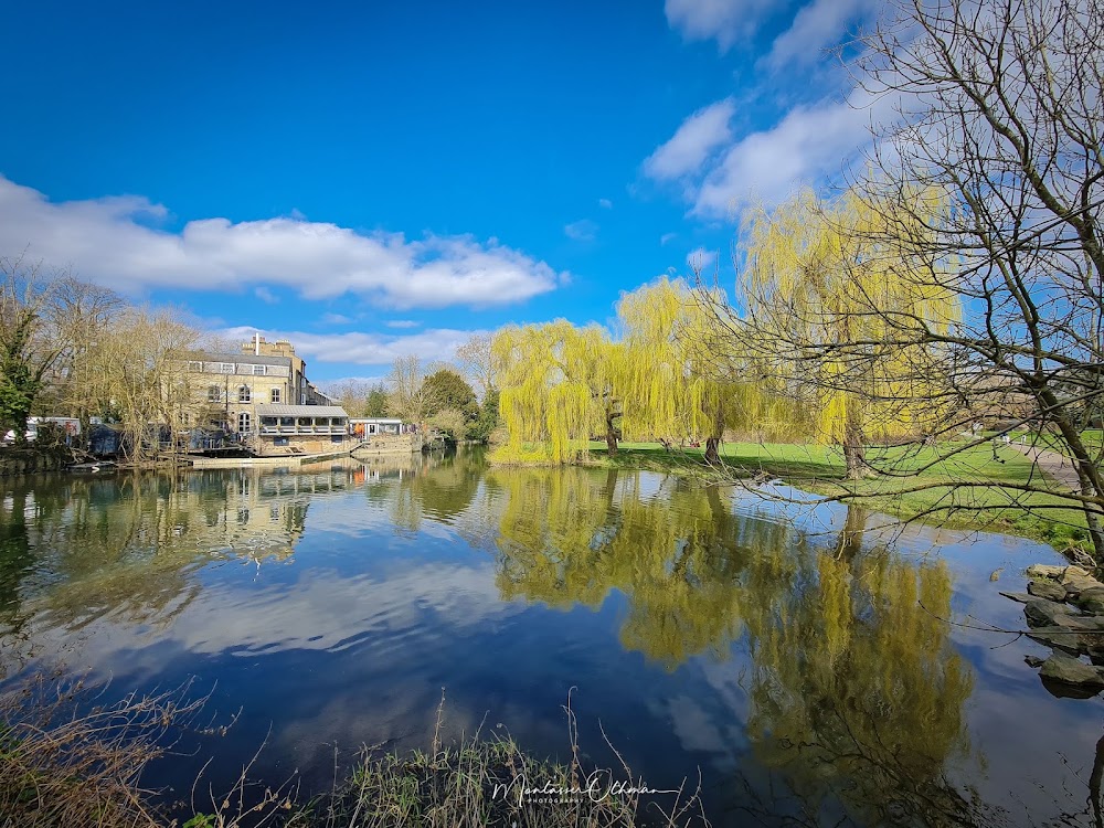 Mill Pond photo 3
