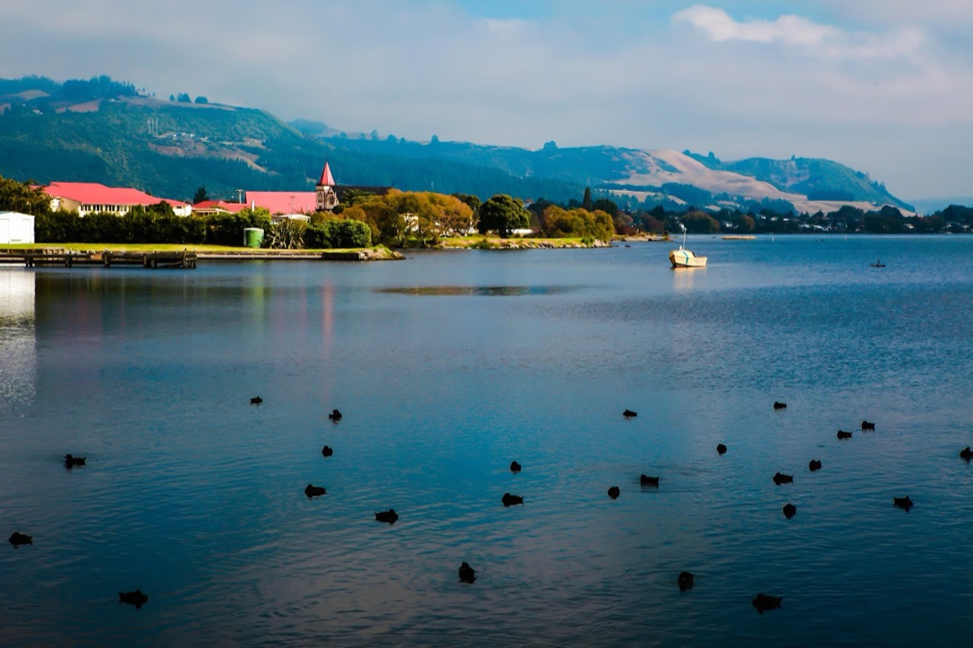 Lake Rotorua photo 3