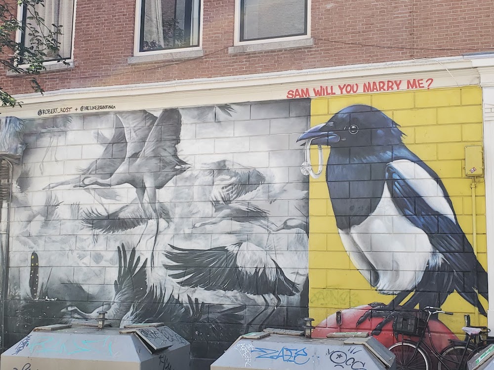 Witte de Withstraat photo 3