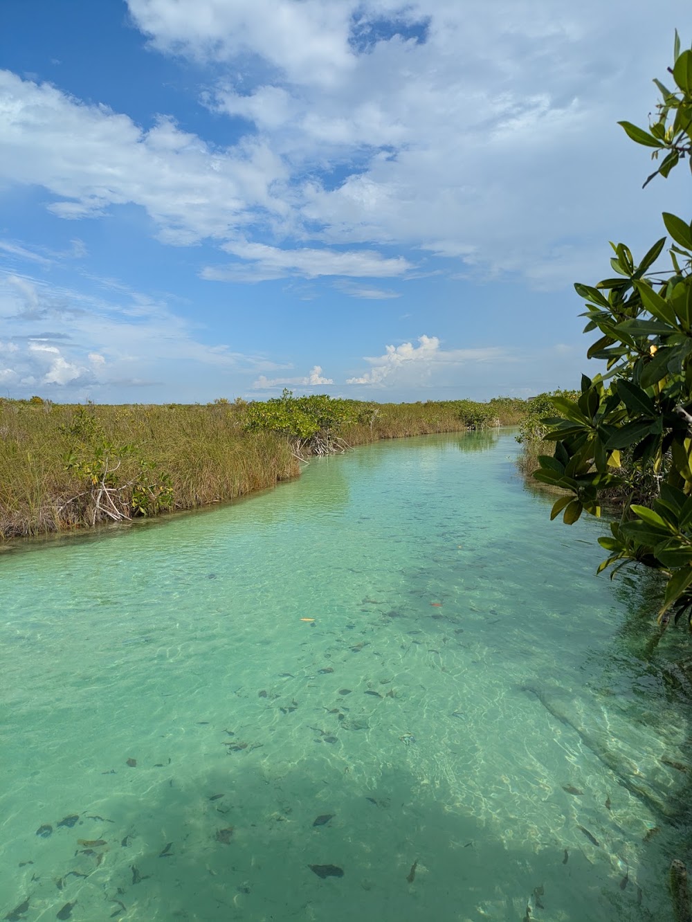 Sian Ka’an Biosphere Reserve