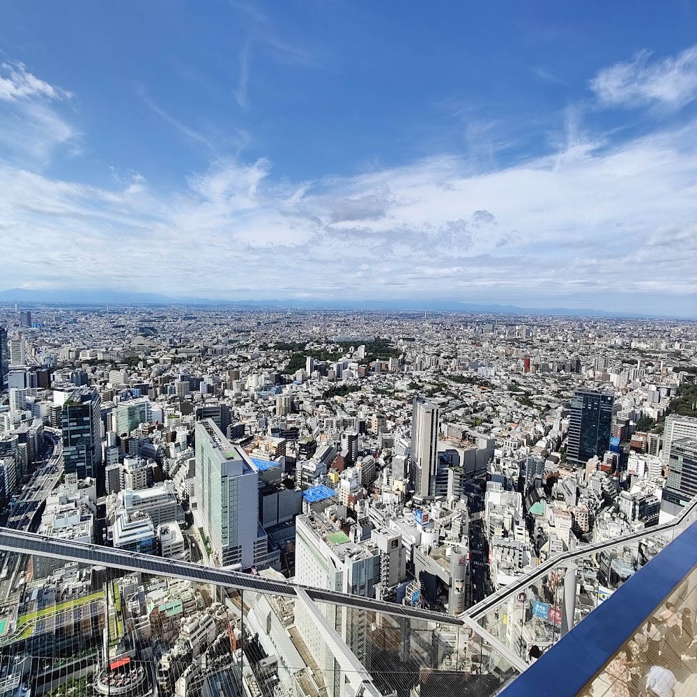 Shibuya Sky Observation Deck photo 2