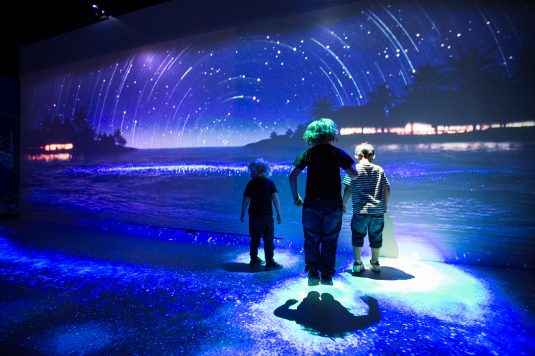 SEA LIFE Brighton photo 3