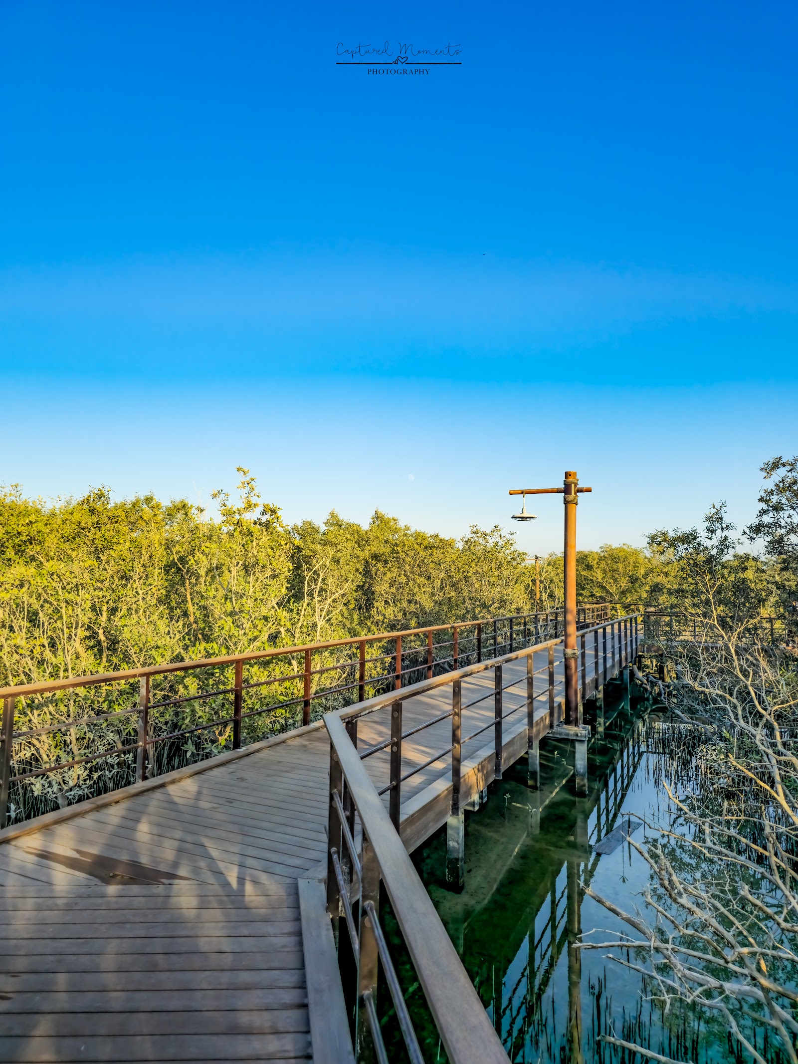 Jubail Mangrove Park